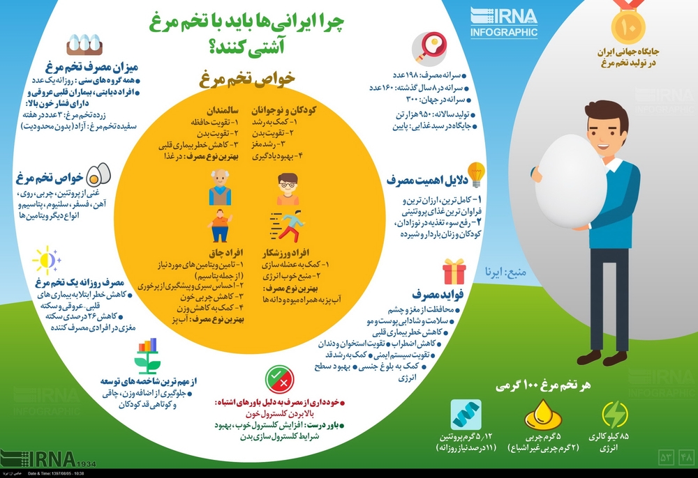 اینفوگرافیک/ چرا ایرانی ها بایدبا تخم مرغ آشتی کنند