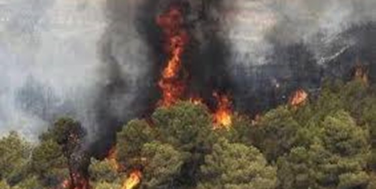 وقوع ۲۹ حریق در مراتع چهارمحال و بختیاری