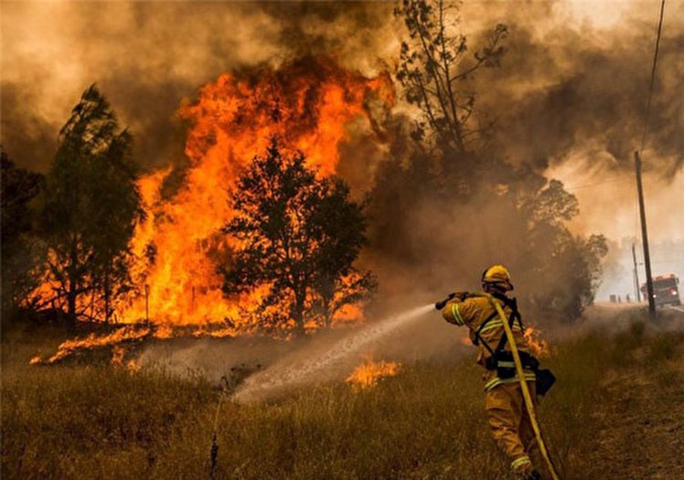 اعزام بالگردهای آتش‌نشانی برای اطفای حریق/ خطای انسانی عامل آتش سوزی جنگل های ارسباران