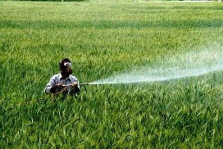مالکیت۲۰درصد بهرهبرداران کشاورزی خراسان رضوی بر ۸۰ درصد مزارع