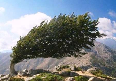 وزش باد در خراسان رضوی شدت میگیرد