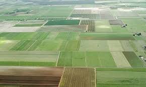 اجرای طرح کاداستر برای ۳۳۰ هکتار از اراضی زراعی آذربایجان شرقی