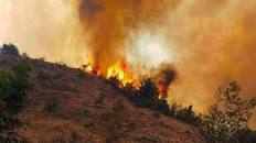 پرونده متهمان آتش سوزی جنگل‌های ارسباران در مرحله تحقیقات مقدماتی