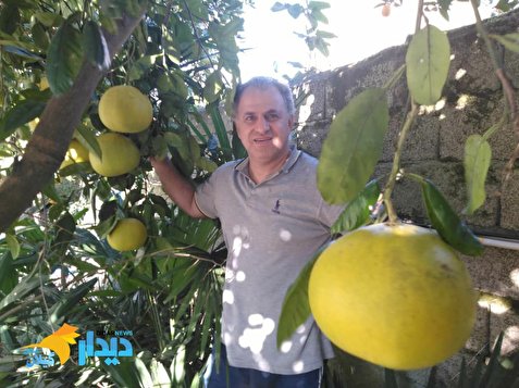 سلطان مرکبات