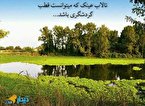 تالاب عینک گنجینه آبی رشت 
در غبار فراموشی