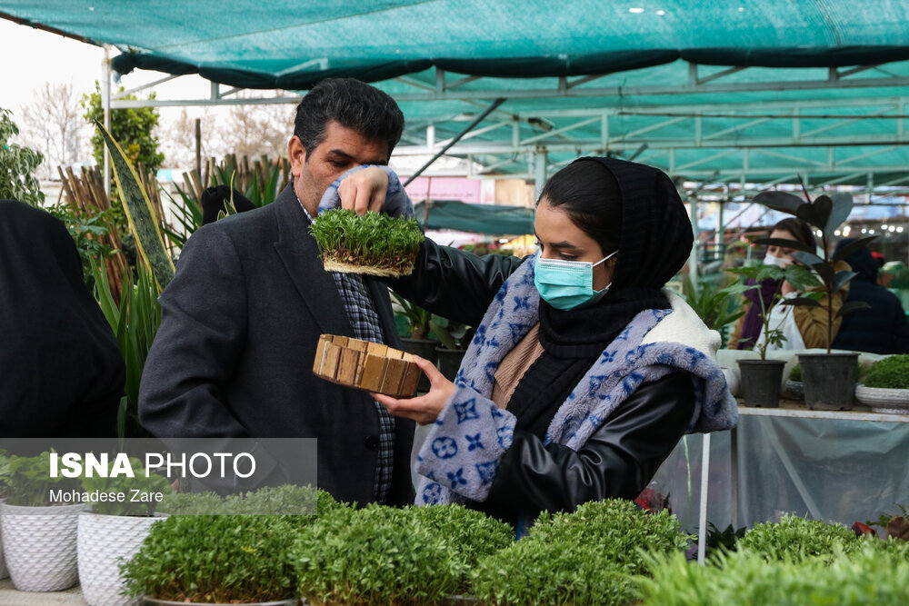 بازار گل مشهد در آستانه نوروز ۱۴۰۱/ گزارش تصویری