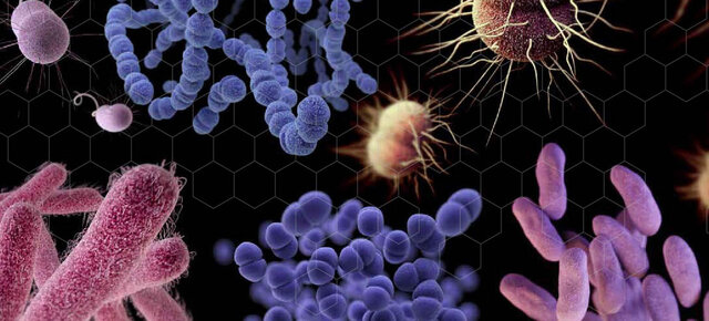 کرونا و خطر افزایش باکتری‌های مقاوم به آنتی‌بیوتیک