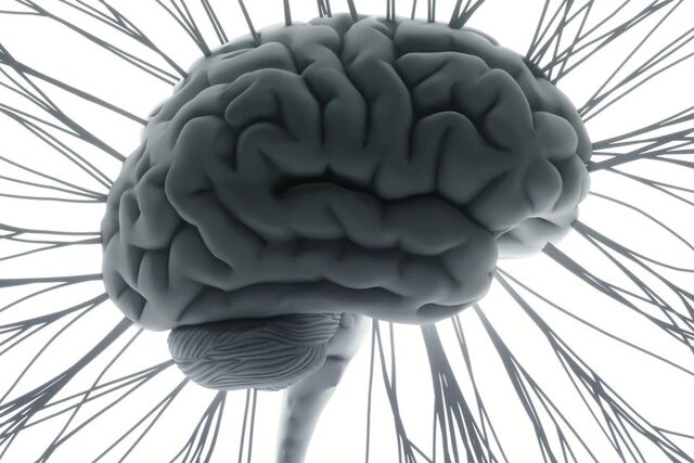 شگفتی‌های مغز و موسیقی