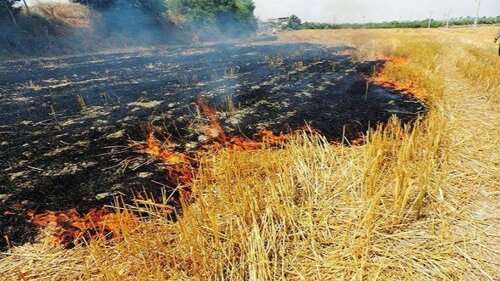  منع کشاورزان از آتش زدن مزارع 