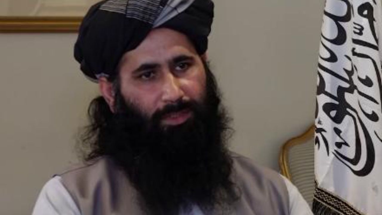 علت تحرکات اخیر طالبان در افغانستان چیست؟ 