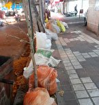 چرایی توقف سه روزه حمل زباله و تفاله توسط شهرداری لاهیجان