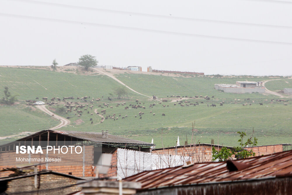 ریزگردها در آسمان گرگان/ گزارش تصویری