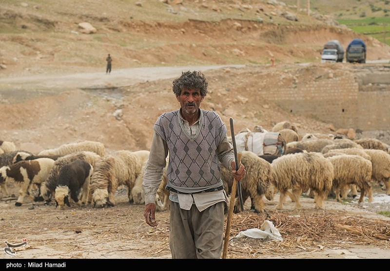 آغاز کوچ عشایر خوزستان/ گزارش تصویری