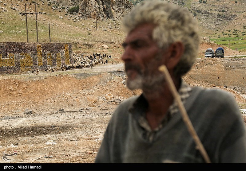 آغاز کوچ عشایر خوزستان/ گزارش تصویری