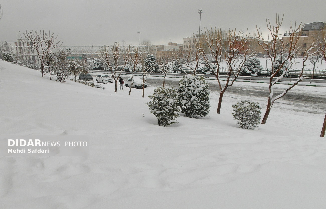 هشدار مدیریت بحران برای بارش شبانه‌روزی برف در تهران