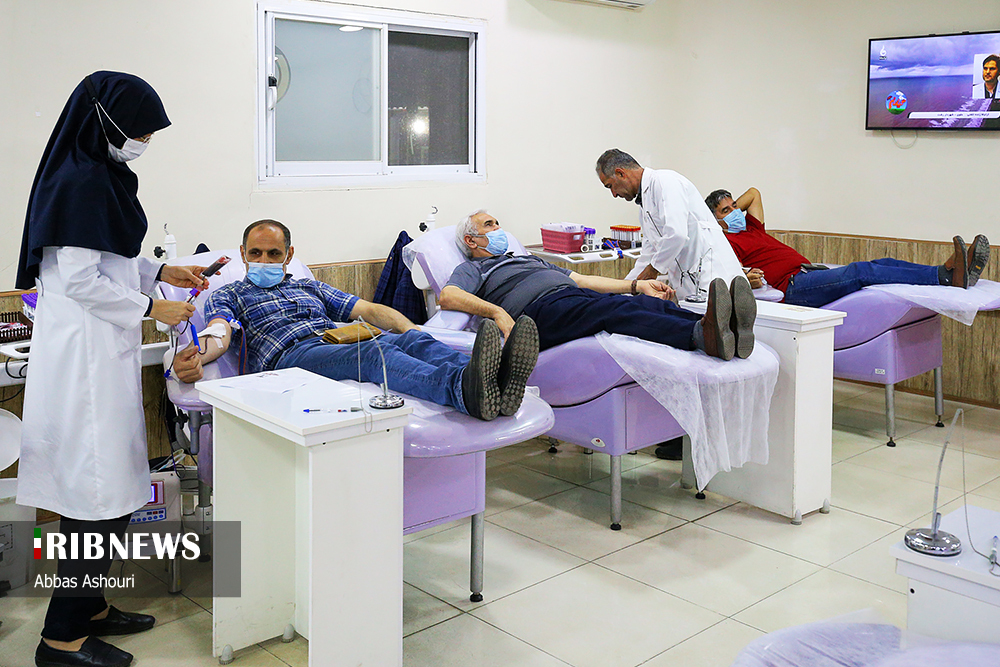 اهدای خون در شب احیا/ گزارش تصویری