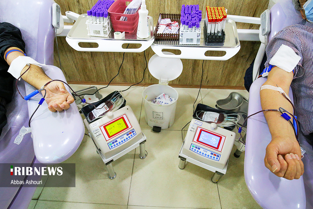 اهدای خون در شب احیا/ گزارش تصویری