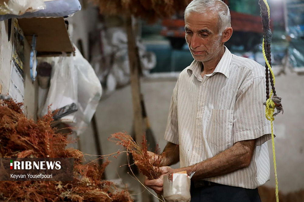 جارو بافی؛ صنایع دستی و سوغات مازندران/ گزارش تصویری