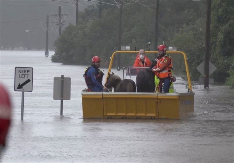 باران سیل‌آسا در سیدنی؛ دستور تخلیه شهر صادر شد