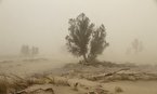 طوفان ۱۰۴ کیلومتری در «زابل»