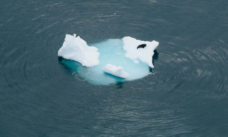 یخ‌های قطب جنوب؛ راهی برای نجات نیست!
