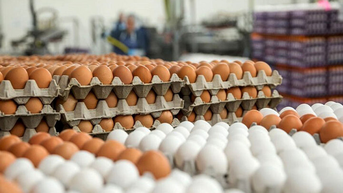 گرانی ۱۰ درصدی موز و تخم مرغ در شهریور!