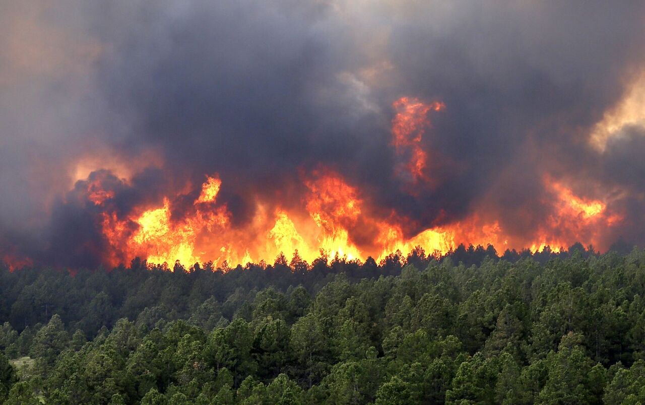 بیش از ۱۷۰۰ فقره آتش‌سوزی در عرصه‌های منابع طبیعی
