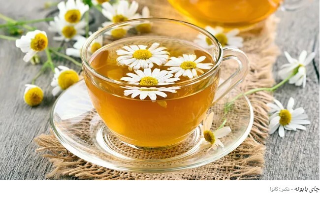 کدام چای سالم‌تر است؟