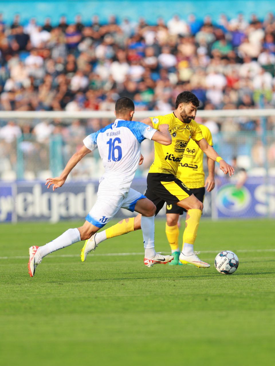 سپاهان، قوی سپید را شکار کرد سپاهان، قوی سپید را شکار کرد