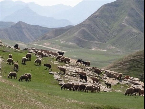 ممیزی بیش از ۱۲۱ هزار هکتار اراضی مرتعی «ششتمد»