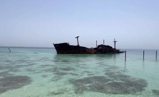 کمر کشتی یونانی «کیش» شکست +ویدیو