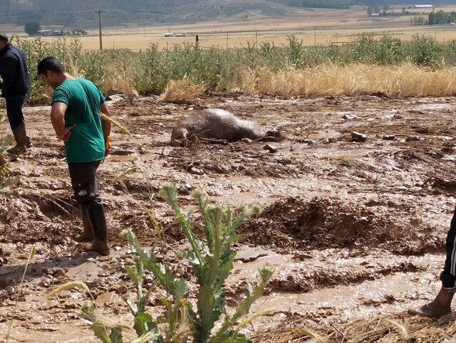 سیل و طغیان رودخانه‌ها در چهار روستای بخش کجور، نوشهر_مازندران