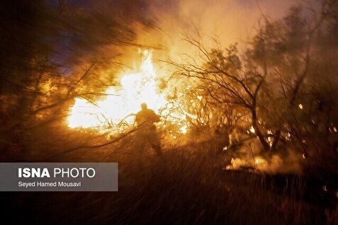 آتش‌سوزی‌ بزرگ در پارک ملی کرخه