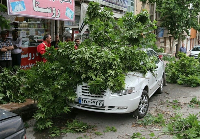 هشدار به تهرانی‌ها؛ مراقب تندباد شدید باشید