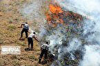 ۹۰۰ هکتار از منابع طبیعی شهرستان دزپارت در آتش سوخت