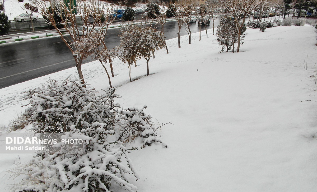 بارش باران و برف در ۱۴ استان