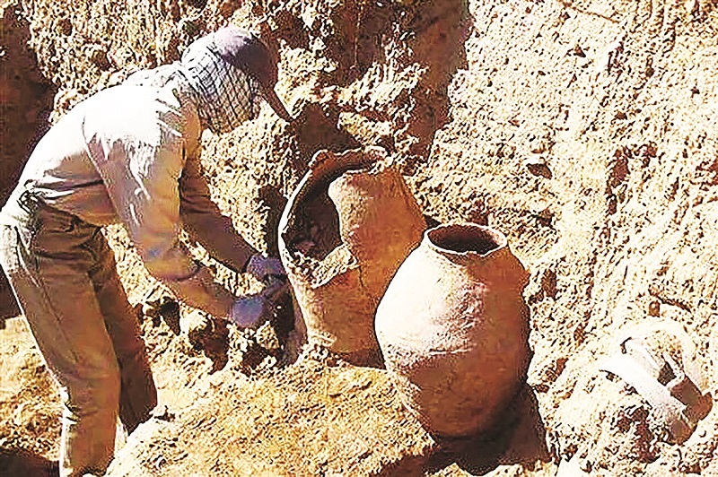 تاریخ زیر تیغ