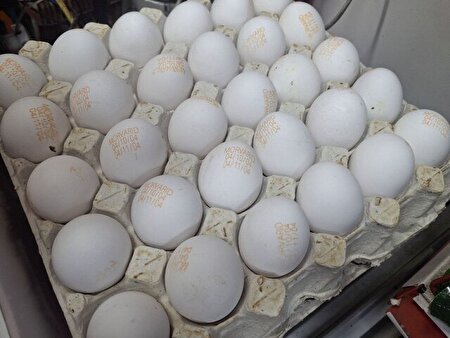 تخم‌مرغ ۳۰۰ هزار تومانی؛ در بازار چه خبر است؟