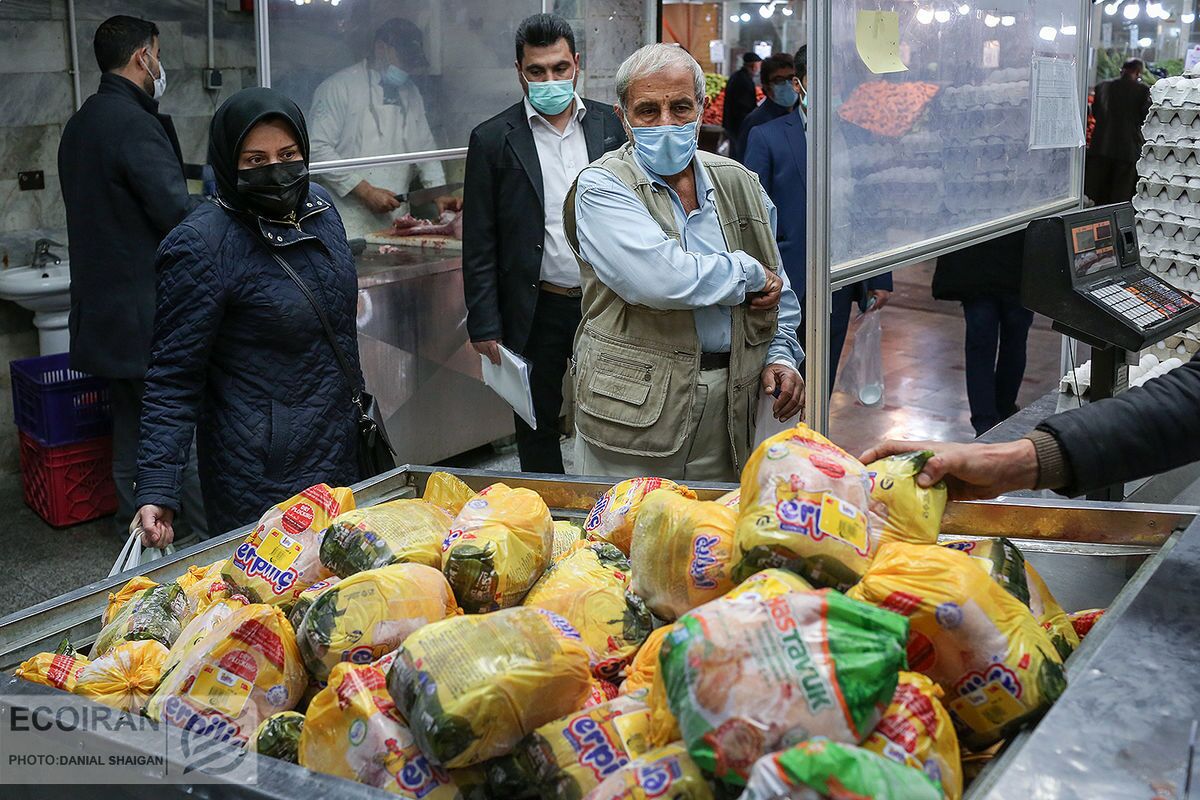 افت خرید مردم؛ مرغ ارزان نمی‌شود!