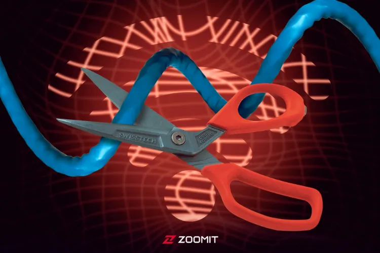 ۱۶ روز قطعی اینترنت؛ امروز وصل می‌شود؟