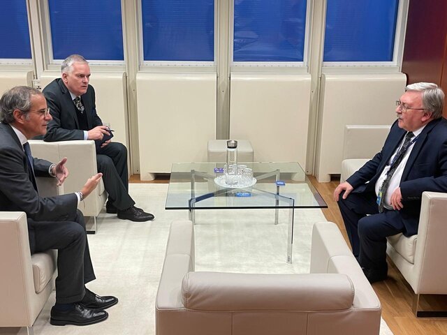 رایزنی اولیانوف و گروسی درباره ایران رایزنی اولیانوف و گروسی درباره ایران