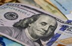 بازار ارز در مسیر صعود آرام؛ دلار چند؟ +جدول