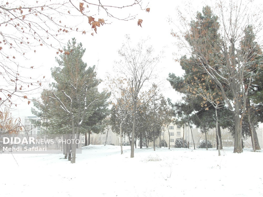 تهرانی‌ها منتظر بارش برف و باران باشند