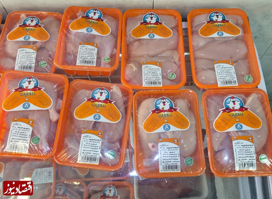 کالابرگ؛ قدرت انتخاب هست، امکان خرید «نه» کالابرگ؛ قدرت انتخاب هست، امکان خرید «نه»