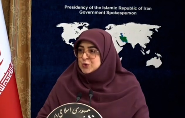 سخنگوی دولت: رفع تحریمها باید اثربخش باشد/ توضیح درباره کاهش نرخ ارز سخنگوی دولت: رفع تحریمها باید اثربخش باشد/ توضیح درباره کاهش نرخ ارز