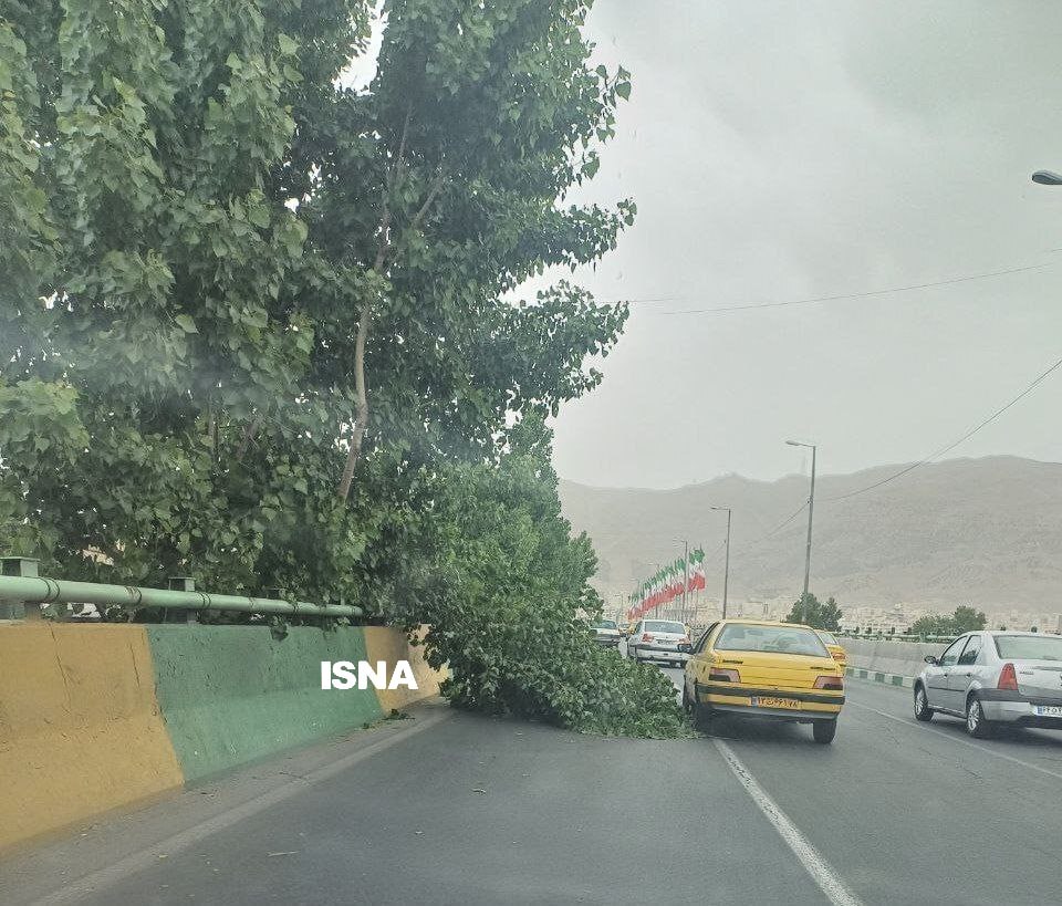 هشدار؛ وزش باد شدید و گردوخاک در تهران/ شکستن درختان در کرج +عکس هشدار؛ وزش باد شدید و گردوخاک در تهران/ شکستن درختان در کرج +عکس