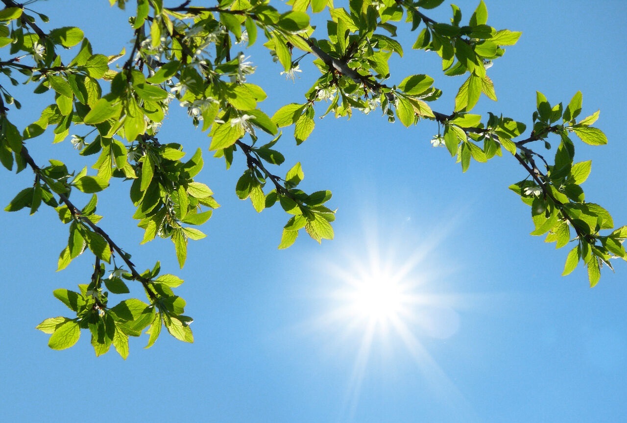 جوی آرام و آسمانی صاف در کشور/ پایتخت ۳۲ درجه جوی آرام و آسمانی صاف در کشور/ پایتخت ۳۲ درجه