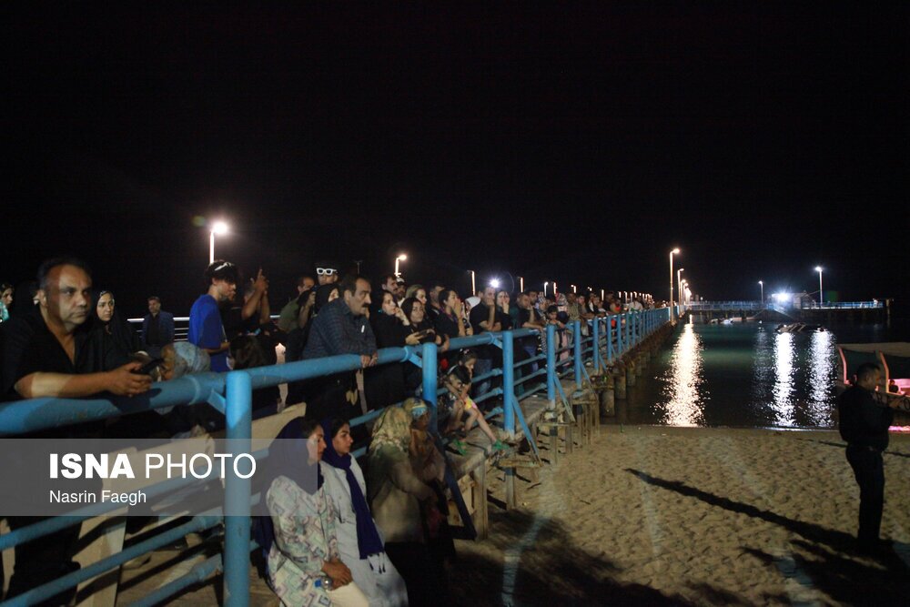 سوگواری برای بندر سوگواری برای بندر