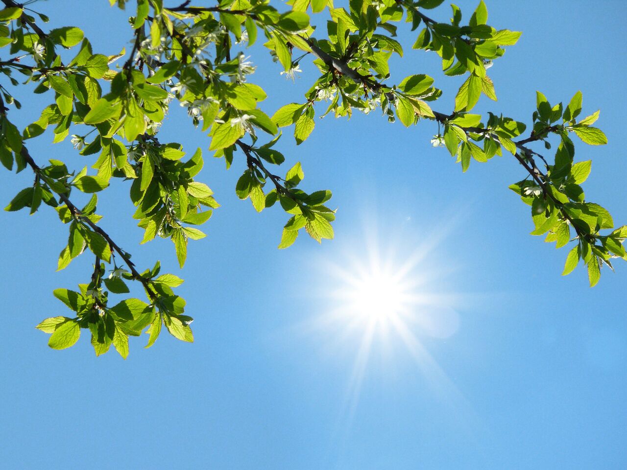 هوای پایدار در کشور/ پایتخت ۳۵ درجه