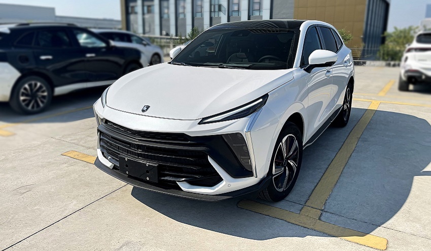 لاماری محصول جدید معرفی میکند لاماری محصول جدید معرفی میکند